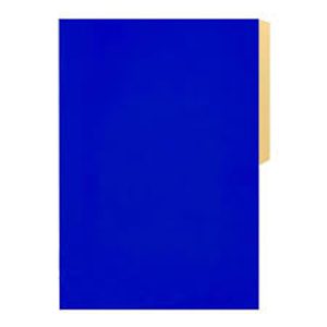 CARPETA CARTULINA PIGMENTADA AZUL TR TRG002